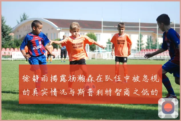 徐静雨揭露杨瀚森在队伍中被忽视的真实情况与斯普利特智商之低的尴尬真相