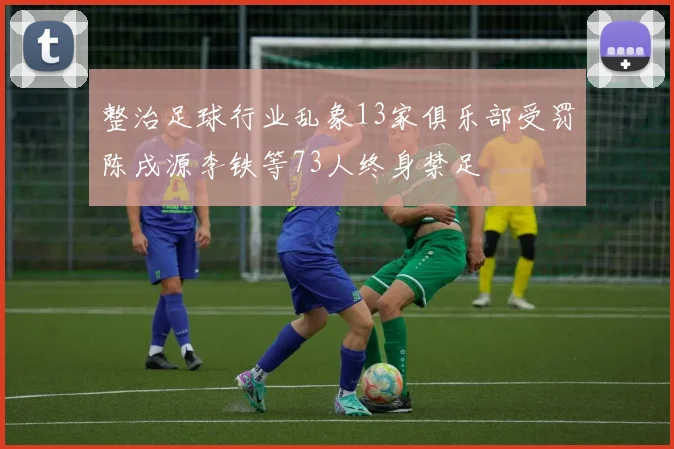 整治足球行业乱象13家俱乐部受罚陈戌源李铁等73人终身禁足