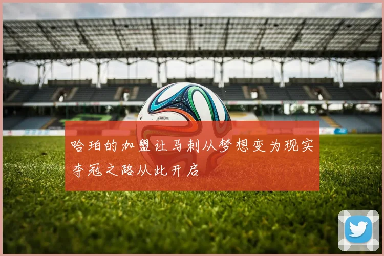 哈珀的加盟让马刺从梦想变为现实夺冠之路从此开启